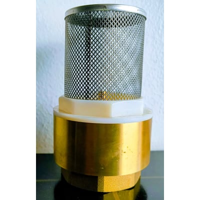 2" Brass Non Return & Foot Valve