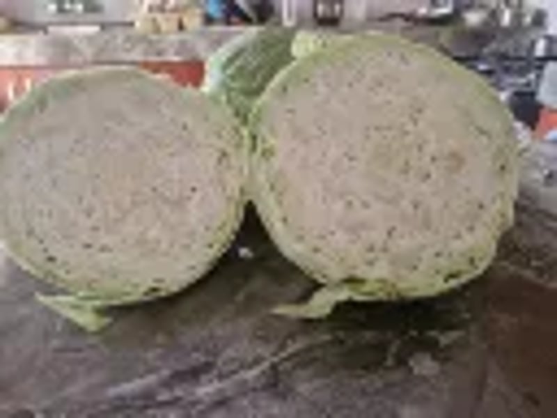 Hallelujah F1 (Cabbage) 1000 Seeds