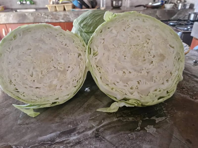 Hallelujah F1 (Cabbage) 1000 Seeds