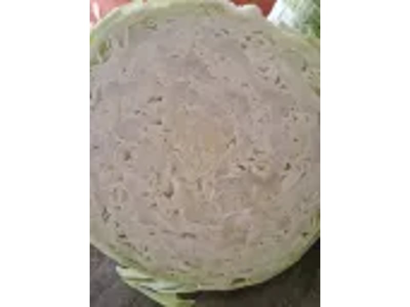Hallelujah F1 (Cabbage) 1000 Seeds