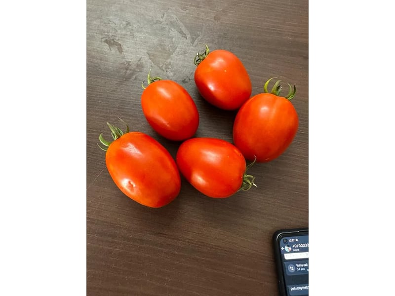 Joel F1 (tomato) 1000 Seeds