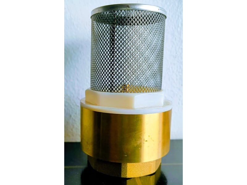2" Brass Non Return & Foot Valve