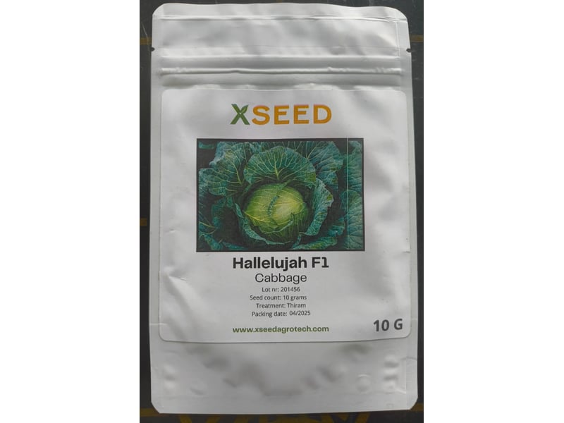 Hallelujah F1 (Cabbage) 10g Seeds